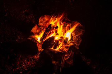 Bonfire