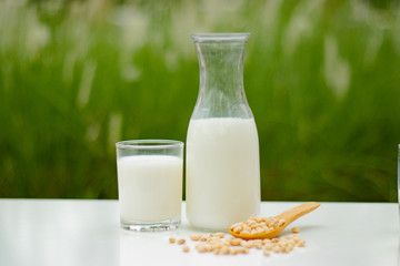 Soy milk and soy bean it on wood table background,healthy concept. Benefits of Soy.