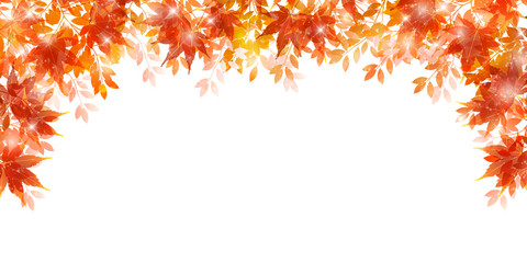 紅葉　もみじ　秋　背景 