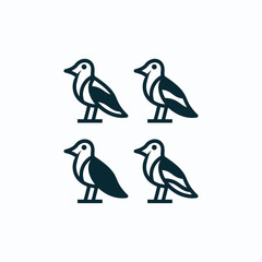 bird logo vector graphic design