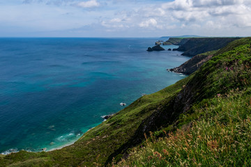 Fototapeta premium Wild flowers and weeds grow across the green and rocky Cornish coastline, on this partially cloudy in England, UK.