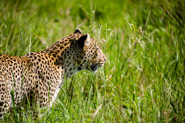 Tanzania, East Africa