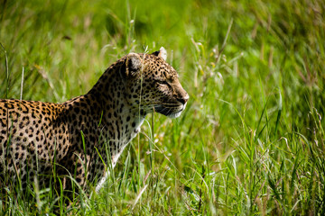 Tanzania, East Africa