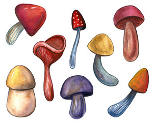 Hand-drawn watercolor set of the different autumn fall mushrooms and leaves. Repeated natural background with mushrooms