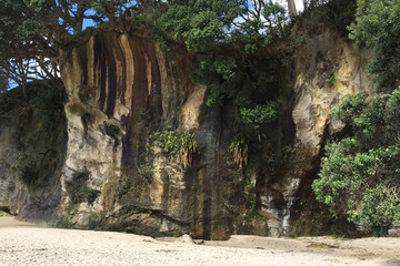 Obraz premium Beach and ocean scenery at Cathedral Cove in the Coromandel New Zealand