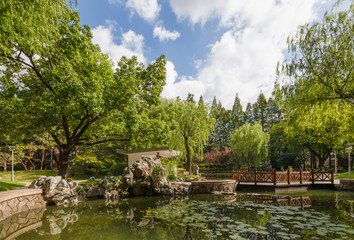 Fototapeta na wymiar Xi Garden or Xiyuan with water lilies on the pond and rocks at Handan Campus, Fudan University, Shanghai, China. A traditional Chinese Garden.