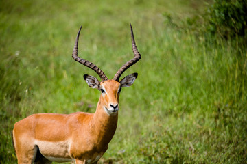 Tanzania, East Africa