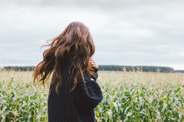 Beautiful carefree windy long hair girl in knitted sweater in the autumn corn field. Sensitivity to nature concept