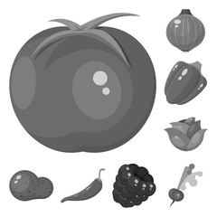 Vector illustration of natural and harvest icon. Set of natural and red vector icon for stock.