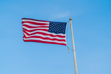 United States Flag 