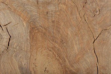 Beautiful texture of old carved stained oak.