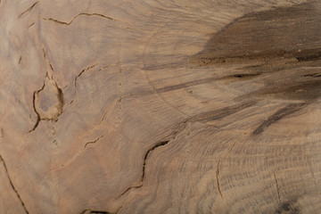 Fototapeta premium Beautiful texture of old carved stained oak.