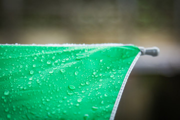Abstract texture background of beautiful raindrop or water drops on  green-white umbrella surface, Bright colorful artistic image of nature