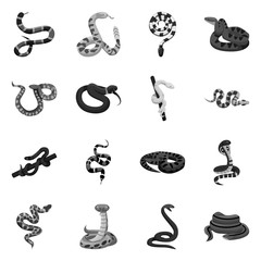 Isolated object of snake and creepy logo. Collection of snake and animal vector icon for stock.