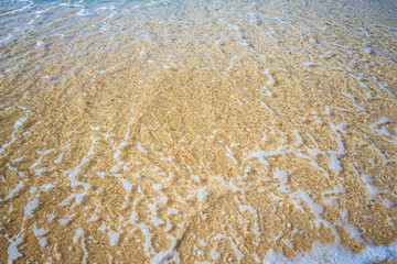 beautiful sandy beach and soft blue ocean wave