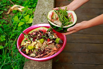 Woman hands throwing kitchen waste in composting bin for recycling and organic fertilizer. Homemade...