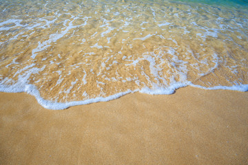 beautiful sandy beach and soft blue ocean wave