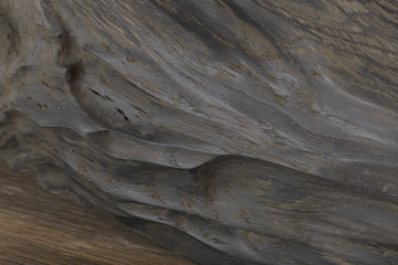 Beautiful texture of old carved stained oak.