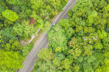 aerial view of road under forest