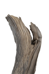 Carved sculpture of bog oak on a white background.
