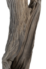 Carved sculpture of bog oak on a white background.