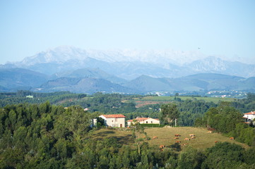 Fototapeta na wymiar Mountain range of 'Picos de Europa' as seen from Ruiloba, Cantabria, Spain
