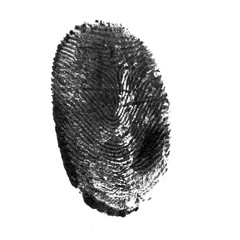 fingerprint pattern isolated on white - Image
