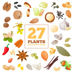 Great set of seeds, beans, nuts and spices.