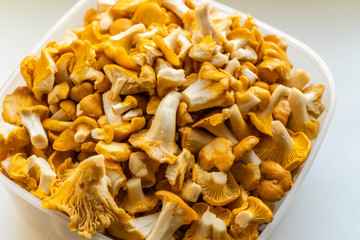 Сhanterelles. Mushrooms. Vegetarian food. Close up