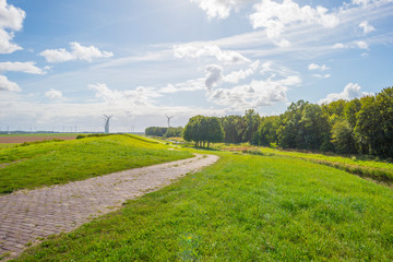 Green dike in a rural area below a blue cloudy sky in sunlight at fall 