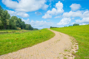 Green dike in a rural area below a blue cloudy sky in sunlight at fall 