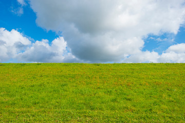 Obraz premium Green dike in a rural area below a blue cloudy sky in sunlight at fall 