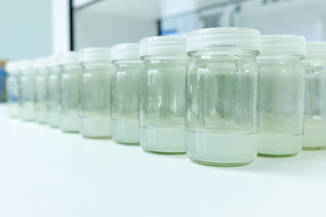 Close up of glass tube on a white table in the laboratory. The concept for biotechnology lab and...
