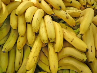 bunch of bananas