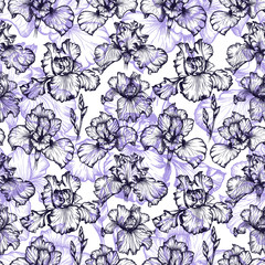 Obraz premium Seamles flower pattern in vector. Botanical illustration. Isolate violet iris flowers.
