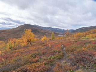 Mountain landscape in autumn. Abisko national park in Sweden.