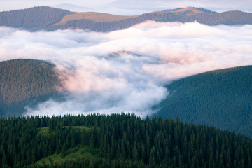 low vanila clouds in the mountains. morning low fog in the mountains