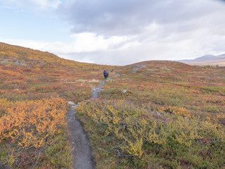 Mountain landscape in autumn. Abisko national park in Sweden.