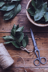 Fresh bay leaves in wooden bowl