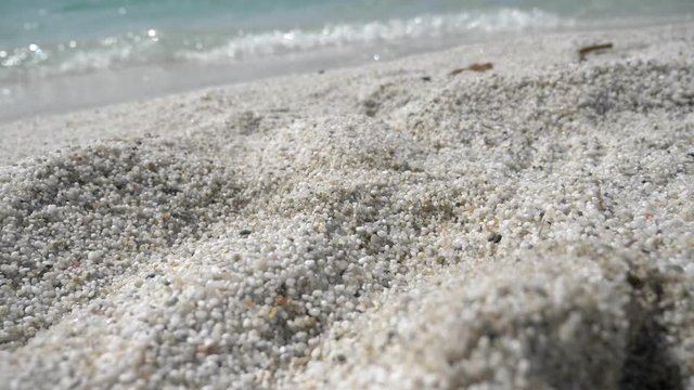 tilting shot of white sand beach towards the blue sea on the background