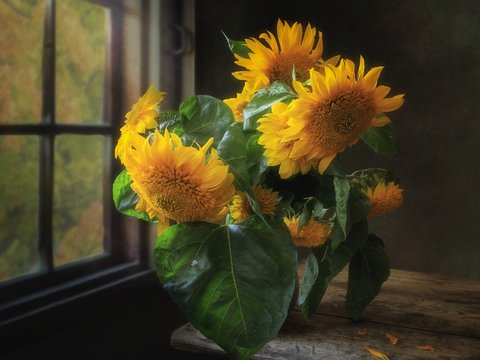 Still life with bouquet of sunflowers