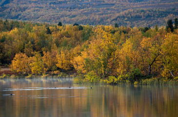 Lake in autumn. Abisko national park in north of Sweden.
