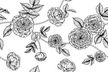 Roses flower and leaves pattern seamless background illustration.