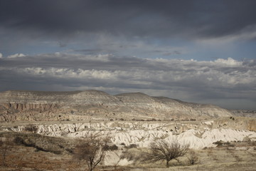 Wind roses sunset and blue sky