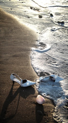 Fototapeta na wymiar A couple of women's shoes on the beach