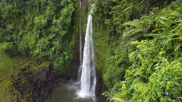 Panning up on Fuipisia Waterfall in Samoa amongst the lush green landscape