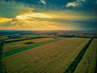 Fototapeta premium Aerial drone view of grain fields, wheat during golden sunset. Agricultural pattern. Moldova republic of.