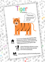 Orange cartoon tiger on white background. Educational card for children, home education, preschoolers, learning English. Interesting facts, habitat, nutrition