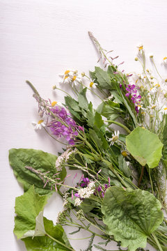 Armful of fresh medicinal plants on the table