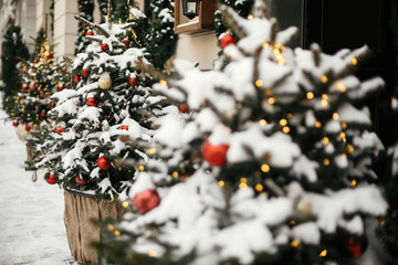 Christmas street decor. Stylish christmas trees with red and gold baubles and festive lights,...